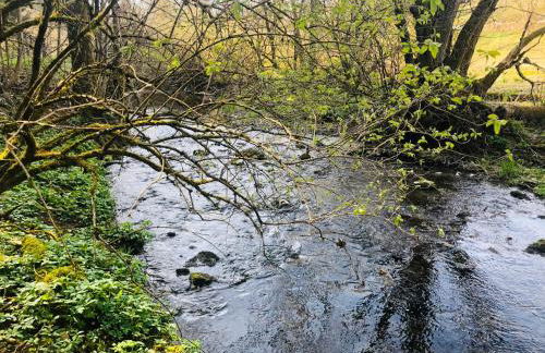 2 Zi Ferienwohnung mit schöner Aussicht und mit Balkon bis zu 5 Personen in Loßburg, Schwarzwald - Foto 19