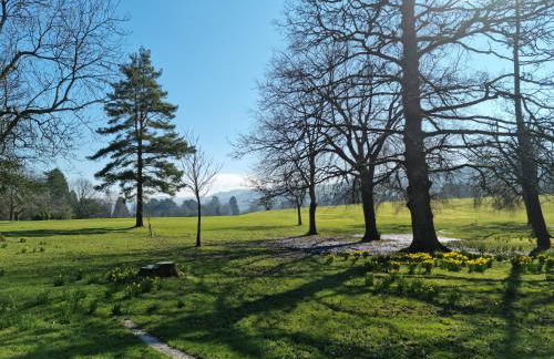 Dare Valley Cottage Ex miners cottage Near Zip World Pen y fan Waterfalls - Photo 26