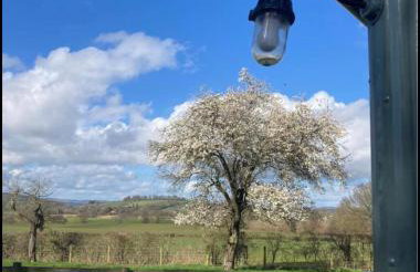 Ludlow Vintage Airstream - Photo 11