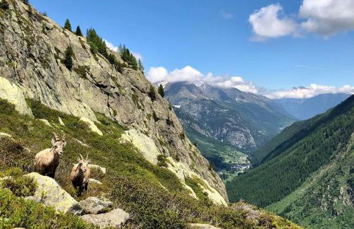 Chez Charles | Vallorcine Viachamonix - Foto 74