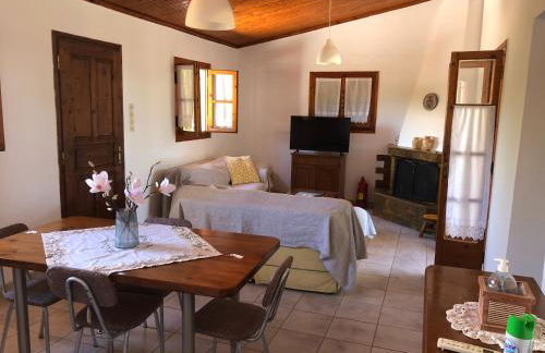 Παραθαλάσσια κατοικία στην παραλία Κατακόλου - Photo 3