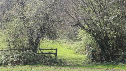 The Valley Static Caravan - Foto 5