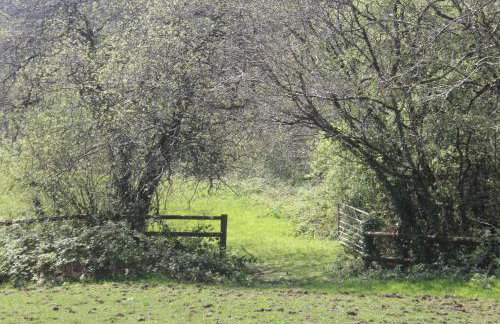 The Valley Static Caravan - Foto 5