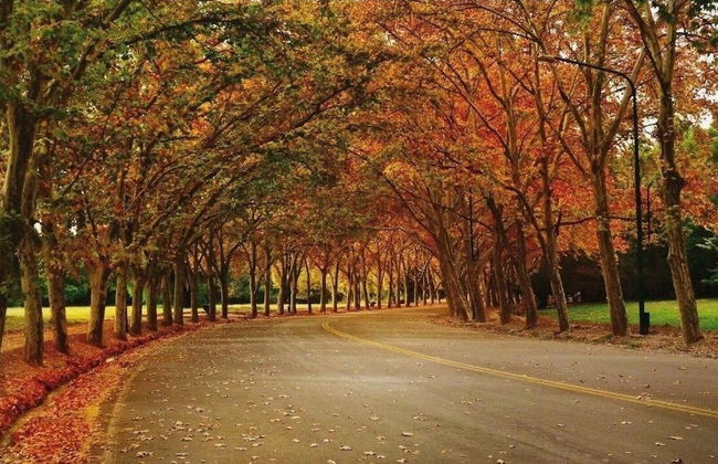 Departamento en el centro de Mendoza - Photo 11