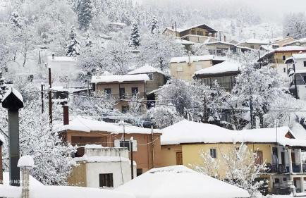 Elena's villa - Foto 23