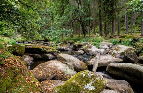 Ferienwohnung Behnke - Foto 32