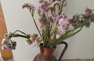 La casa di Bella a tradional stone house with barbecue - Photo 72