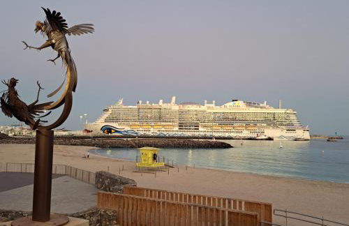 La Perlita - Foto 20