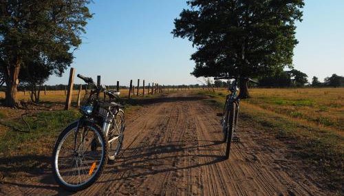 Agroturystyka Pod Orzechem - Foto 3