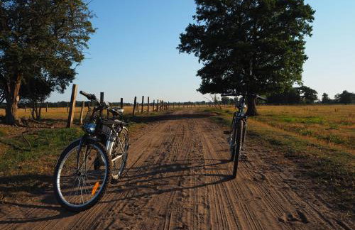 Agroturystyka Pod Orzechem - Foto 3