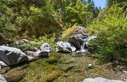 Buck Hollow - Foto 56