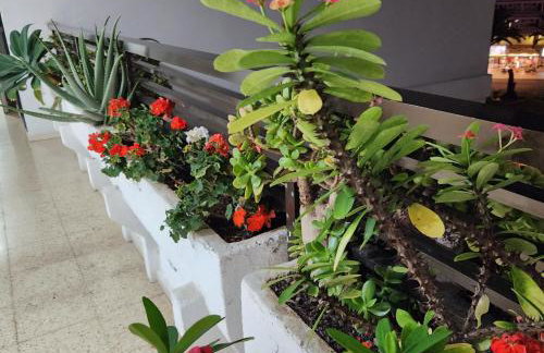 Apartamento Yumbo Iguazu Luxury - Foto 27