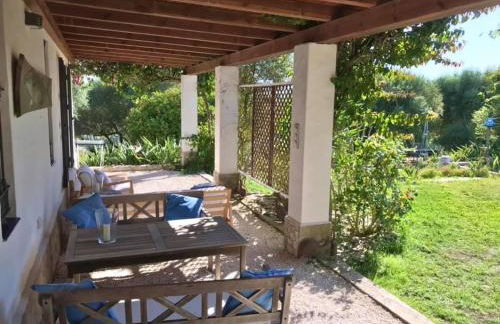 Finca Meerlust - Las Ballenas - Foto 18