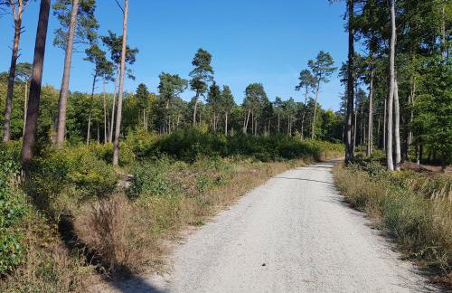 Morskie Opowieści - Foto 74