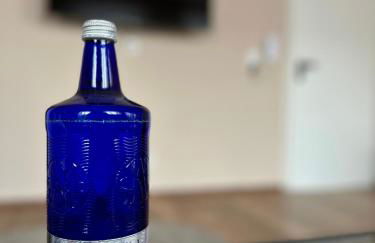 Modernes Apartment am Dreiländereck - Foto 11