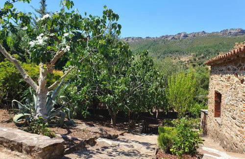 El Jiniebro Turismo Rural - Foto 14