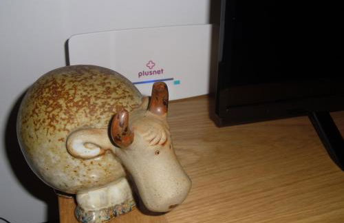 Tower Ridge Apartments - Photo 20