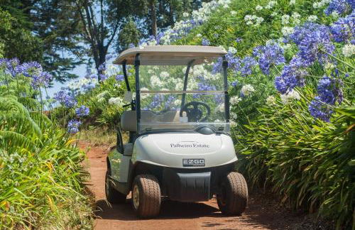 Luxury One Bedroom Palheiro Village by Holiday Rental Madeira - Foto 23