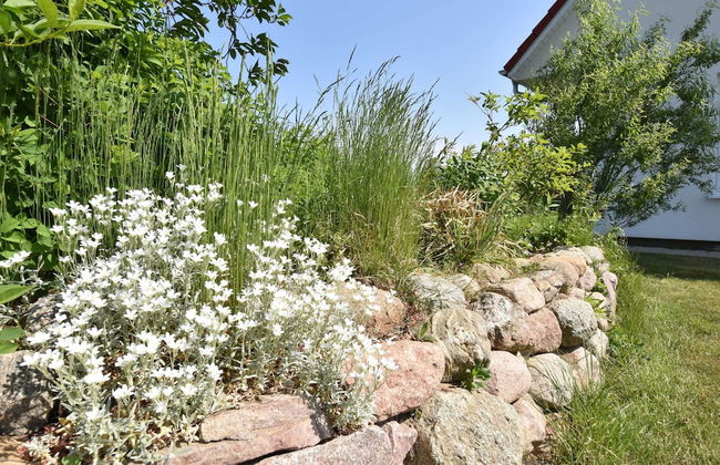 Ferienhaus vor den Toren der Insel Poel - Foto 28