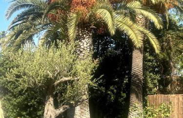 Appartamento in Villa con giardino - numeroquattro - Foto 19