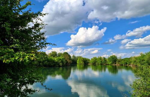 Happy Sparrow - Foto 48