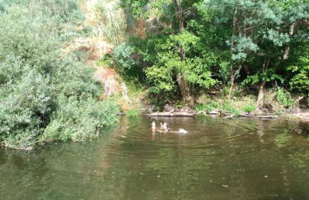 Casa do Rio - Foto 40