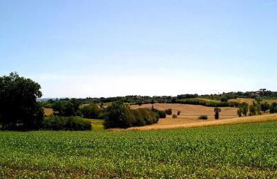 Agriturismo Podere Caggiolo - Swimming Pool & Air Conditioning - Foto 84