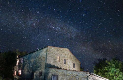 Agriturismo Le Cerinaie - Foto 8