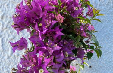 VILLA CATALUNYA - Photo 22