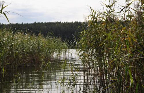 Leśne Zacisze domki letniskowe - Foto 34
