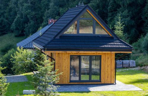 Domki Krynica - Foto 34