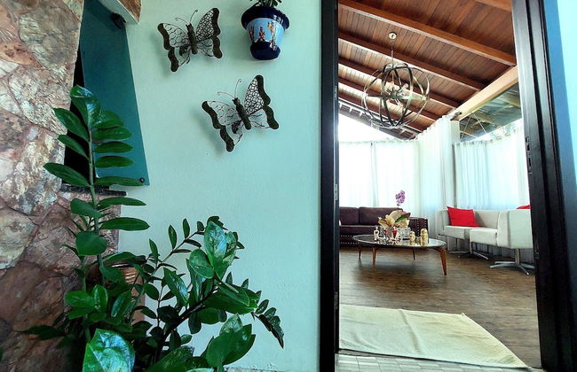 Casa Estrela Rubi - Jurerê Internacional - Photo 53