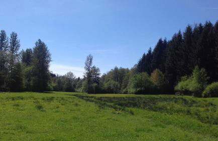 L'oriere des Bois - Foto 24