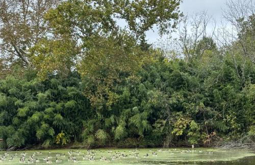 Bucks County Home Farm Philadelphia Dog Friendly - Foto 36