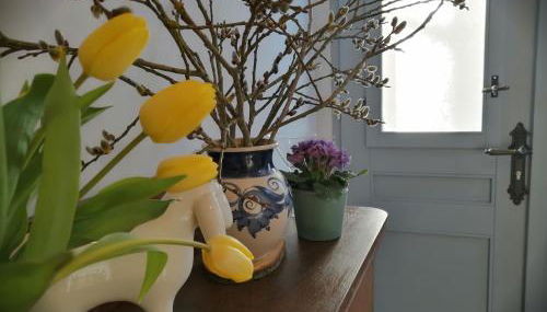 alte Apotheke - Foto 3, Internal: Not applicable to any particular room, Other