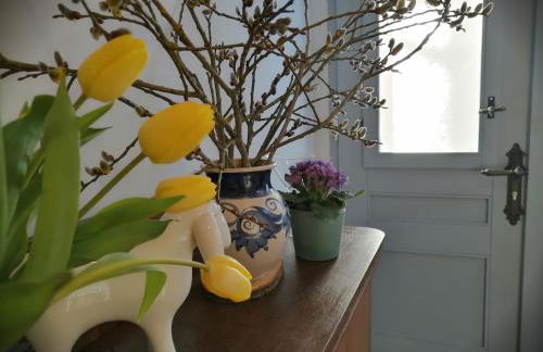 alte Apotheke - Foto 3