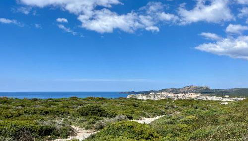 Domaine de Licetto - Foto 3