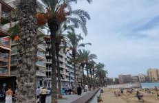 Torrevieja Playa y Mar - Foto 17