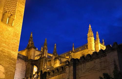 Antigua Cestería - Foto 15