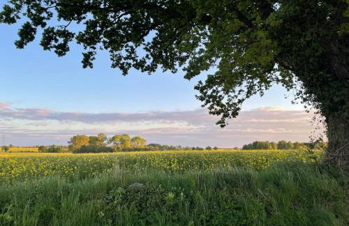 Landhaus an der Schlei - Photo 35