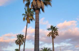 Twin Palms beach villa - Photo 39