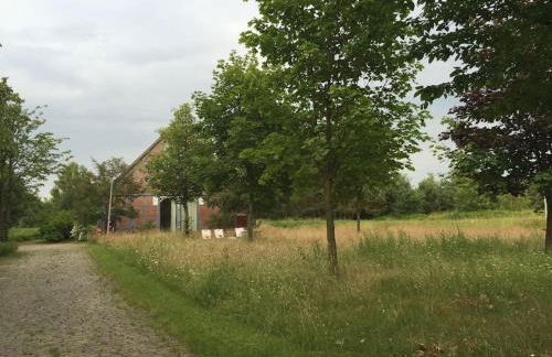 Entspannung in der schönen Lüneburger Heide - Foto 9