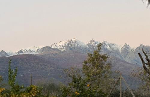 La Casa De Marta - Foto 2