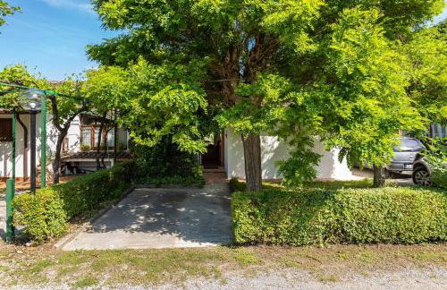 Chalet sul Trasimeno - Photo 34