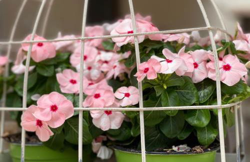 Grano Arso Appartamento Turistico - Foto 49