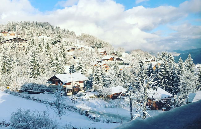 Le Floralp - Foto 41