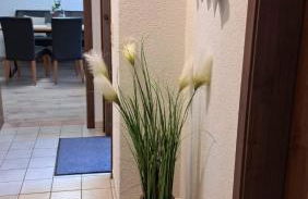 Ferienwohnung Am Reitersgäßchen - Foto 24