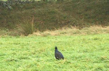 Weardale Cottage - Photo 26