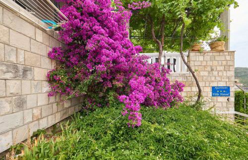 Apartments Hansal - Photo 25