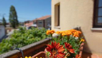 Villa Salgado - Foto 4, Garden, Garden view